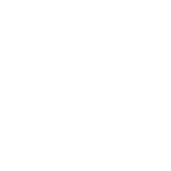 心臓弁膜症<br>（心雑音）